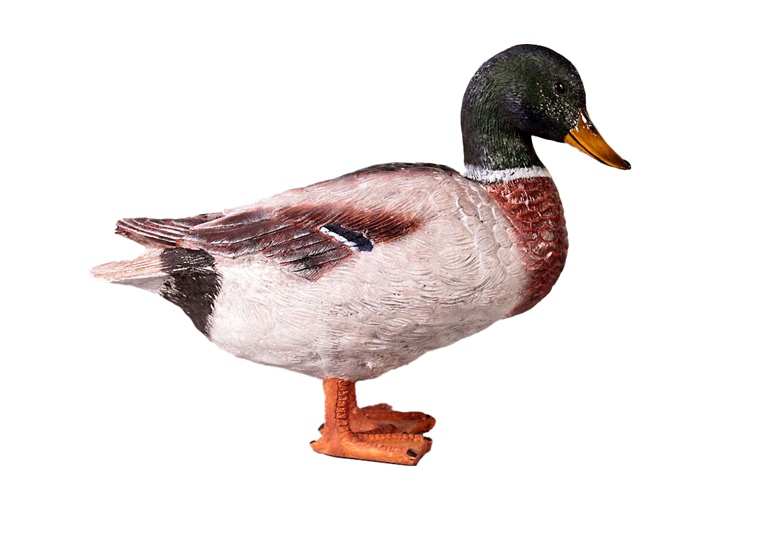 Male Mallard Duck Life Size Statue 